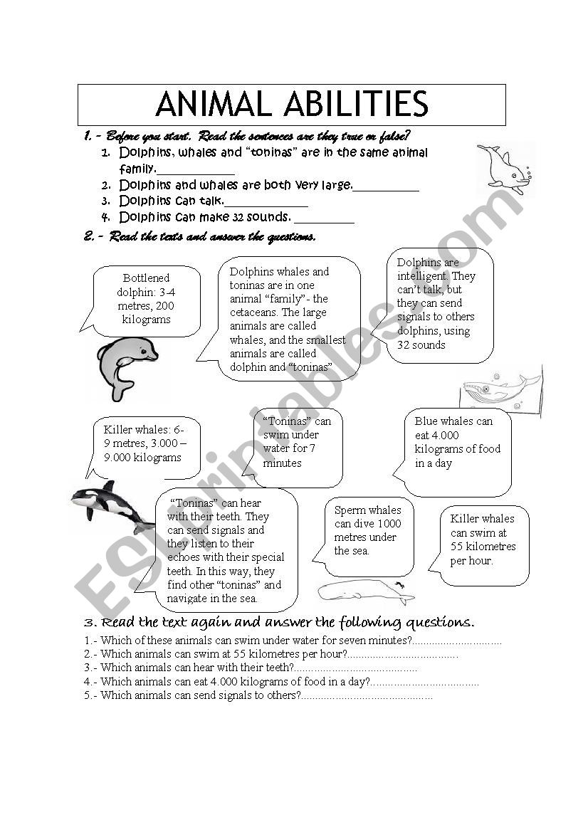 aninal abilities: DOLPHINS worksheet