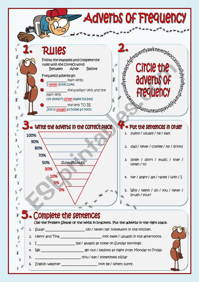 ADVERBS OF FREQUENCY worksheet