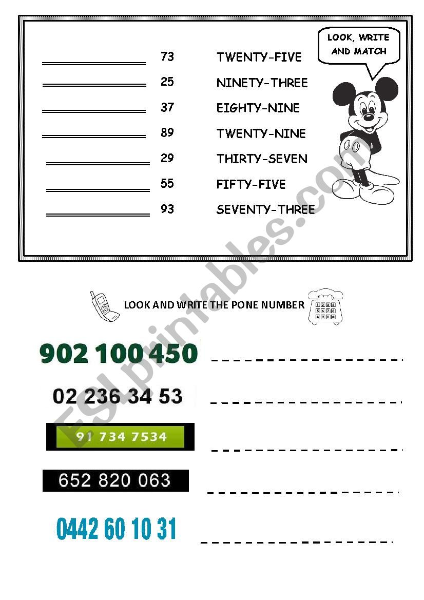 Numbers  worksheet