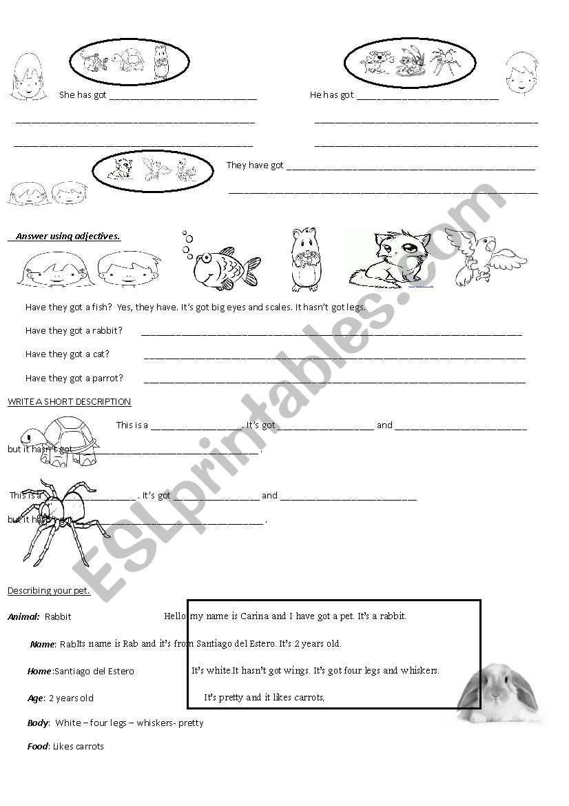 PETS worksheet