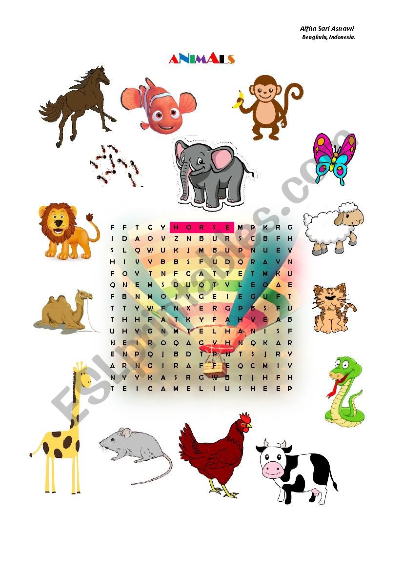 Animals worksheet