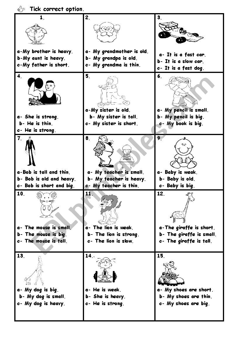 OPPOSITES worksheet