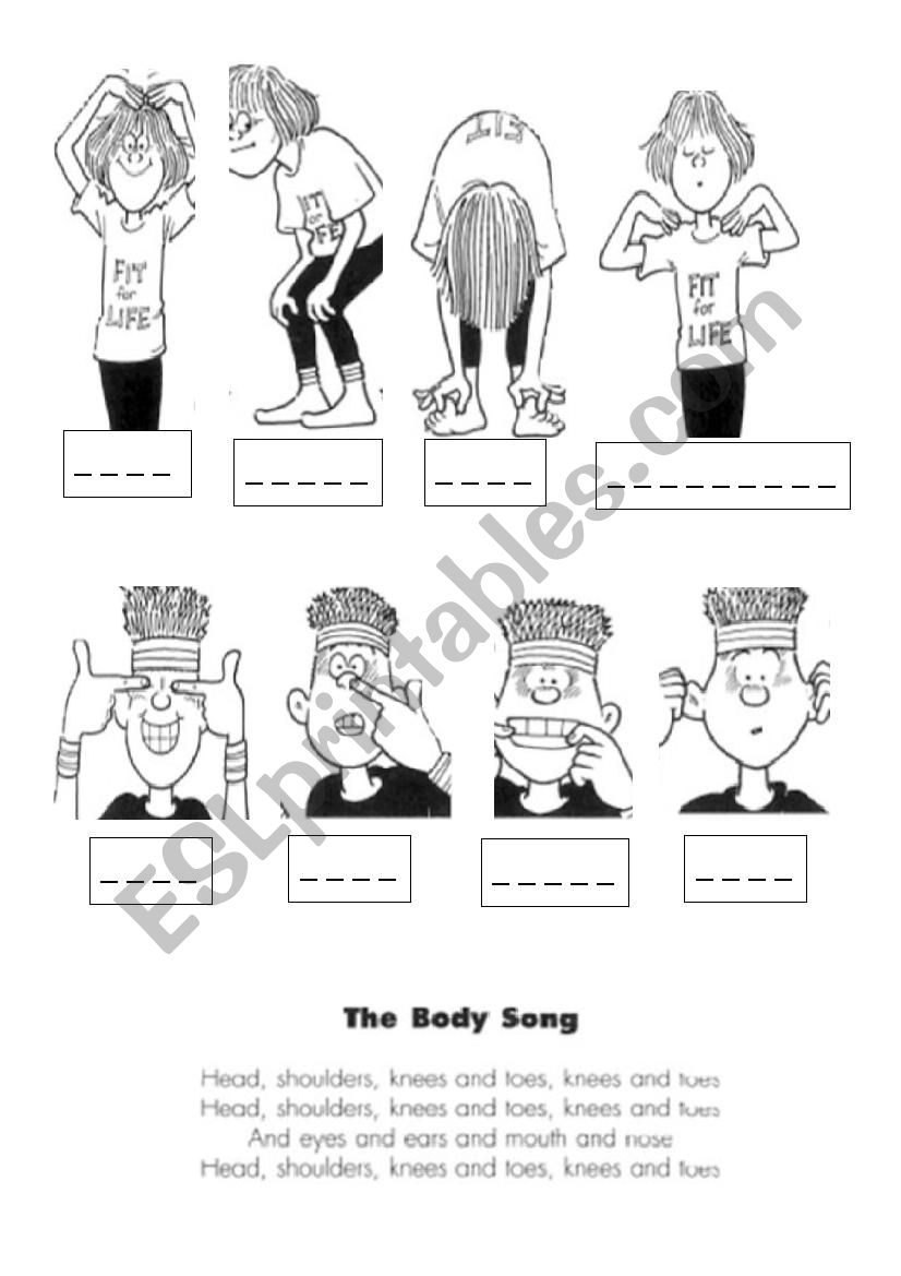 Body song  worksheet