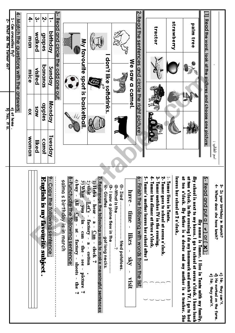 Grade 2 worksheet