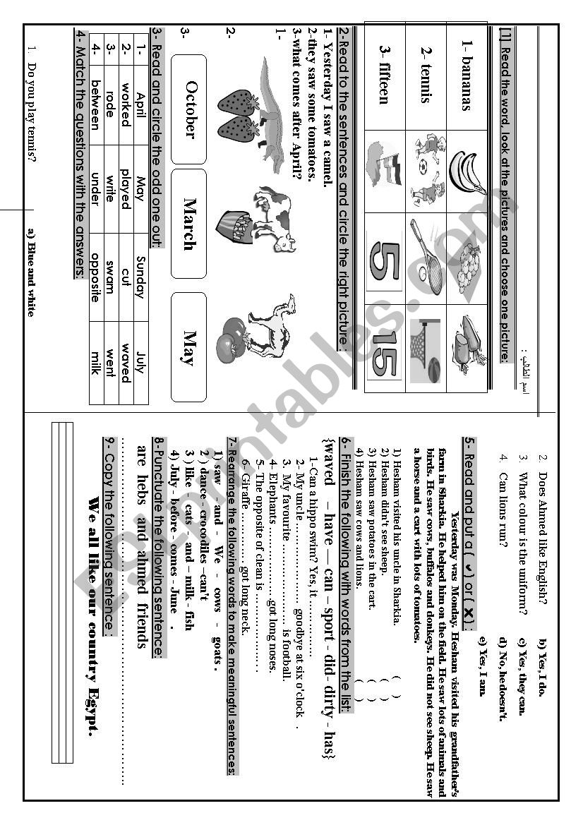 Exam  worksheet