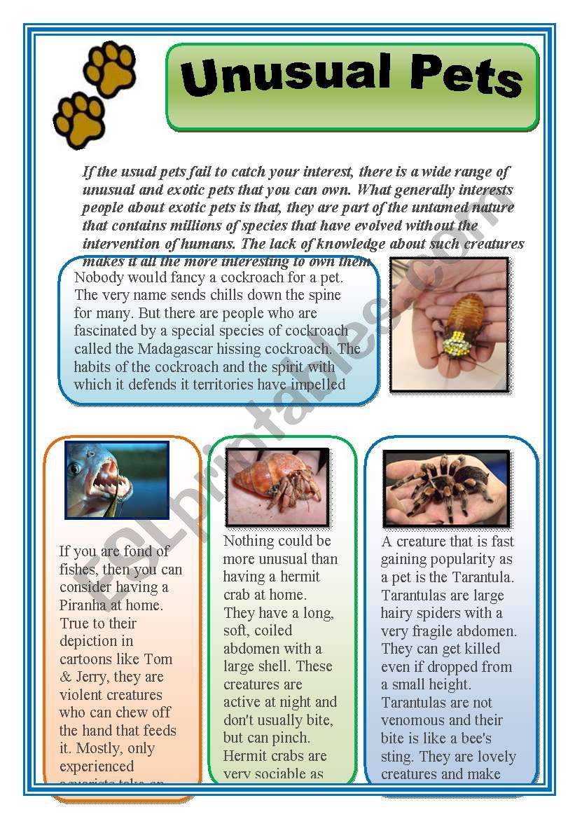 UNUSUAL PETS worksheet