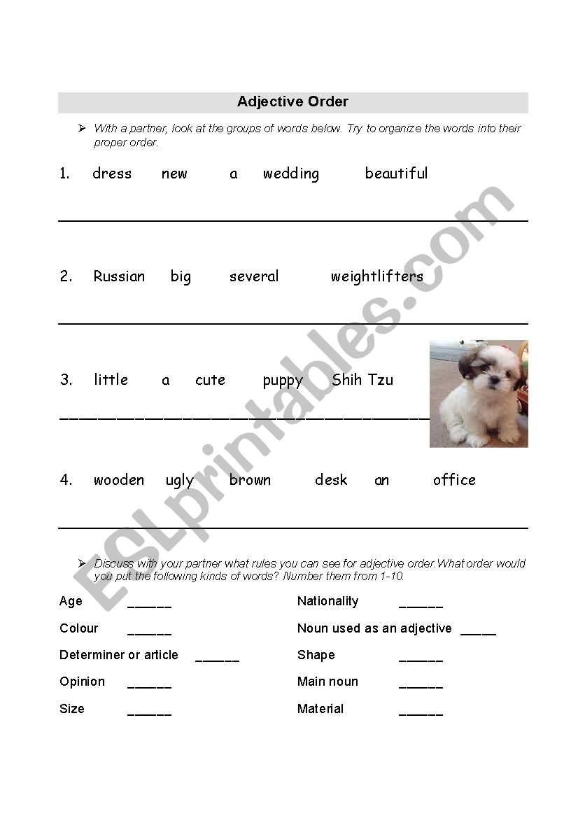 Adjective Order worksheet