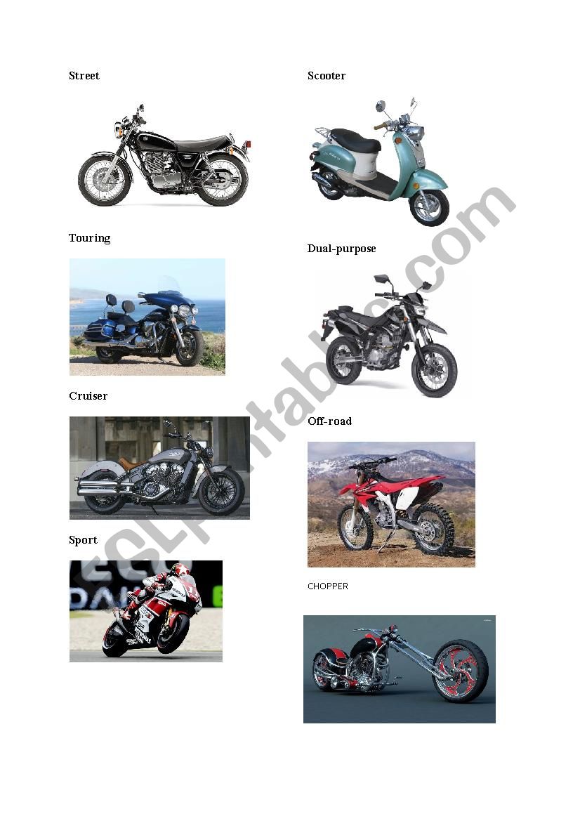 Types of motorbikes worksheet