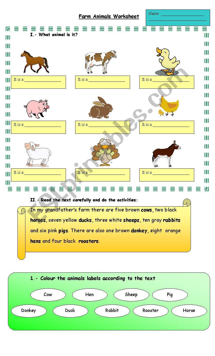 Farm animals worksheet worksheet