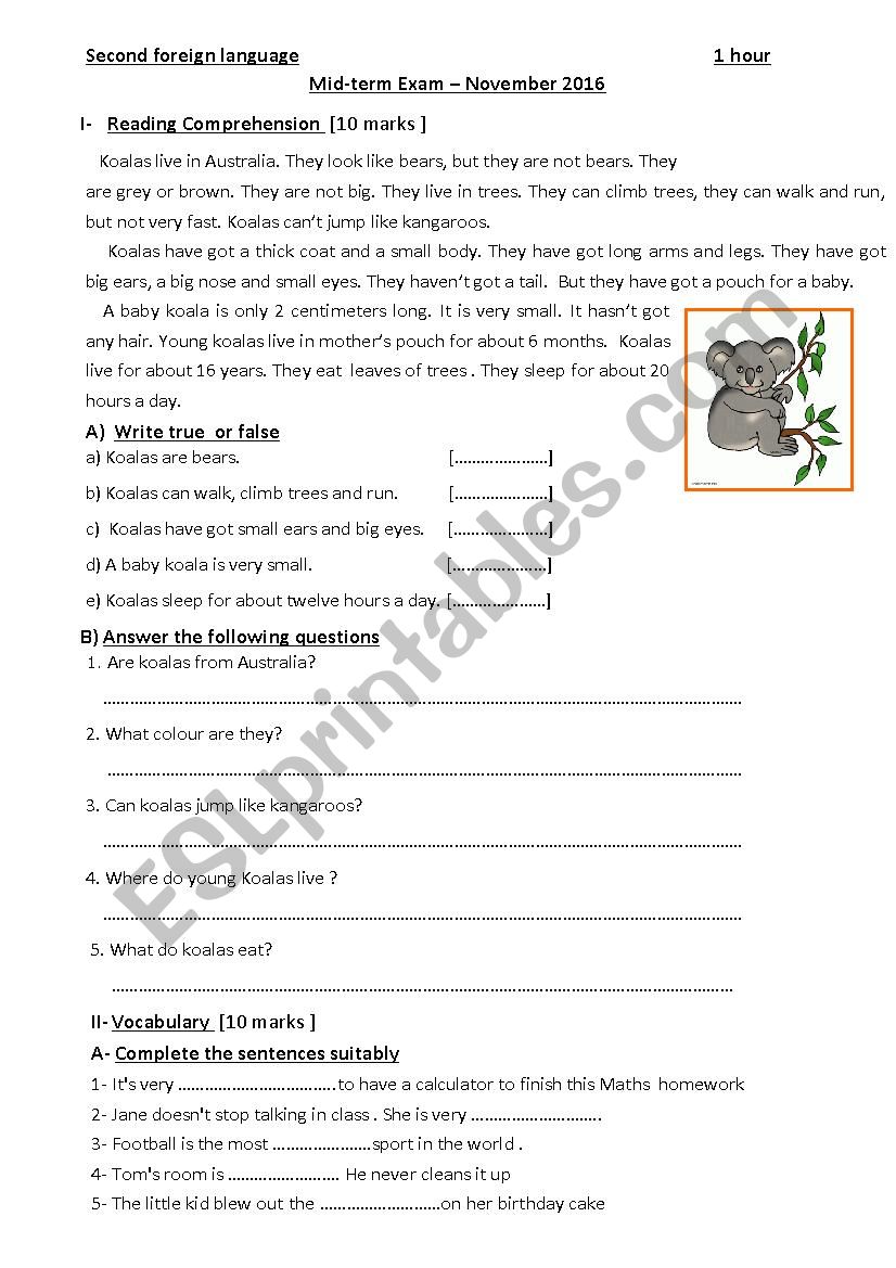 mid -term exam 6th grade worksheet