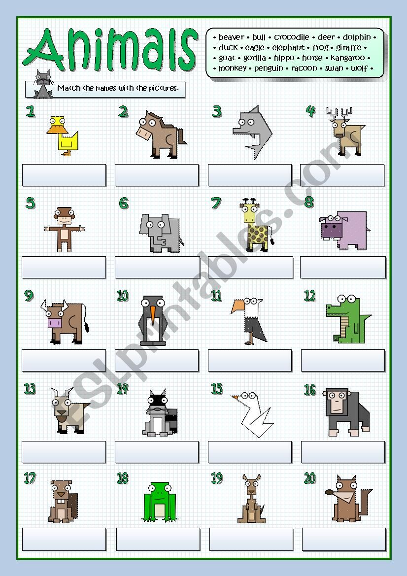 TWENTY ANIMALS worksheet