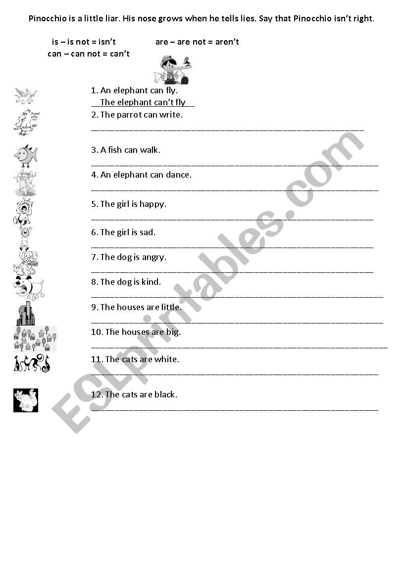 A litte lier worksheet