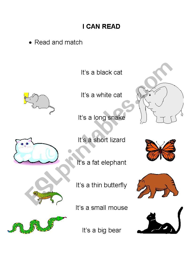I can read worksheet