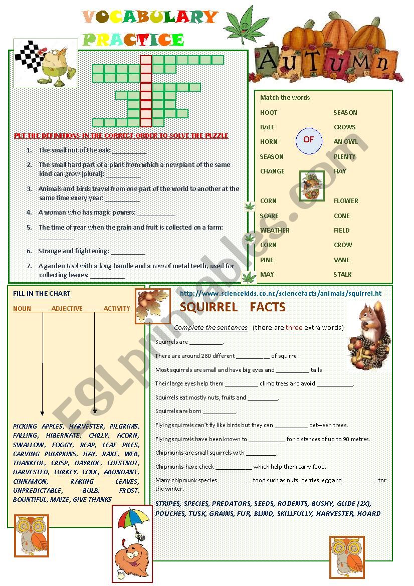 Vocabulary Practice - Autumn worksheet