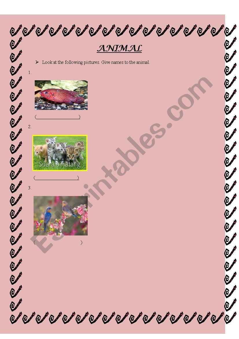 animal worksheet
