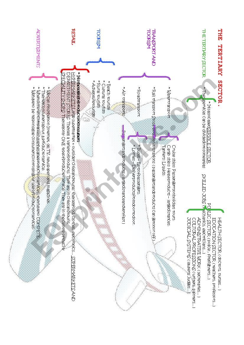 Social Science outline: transport, advertisements, tourism, tertiary sector