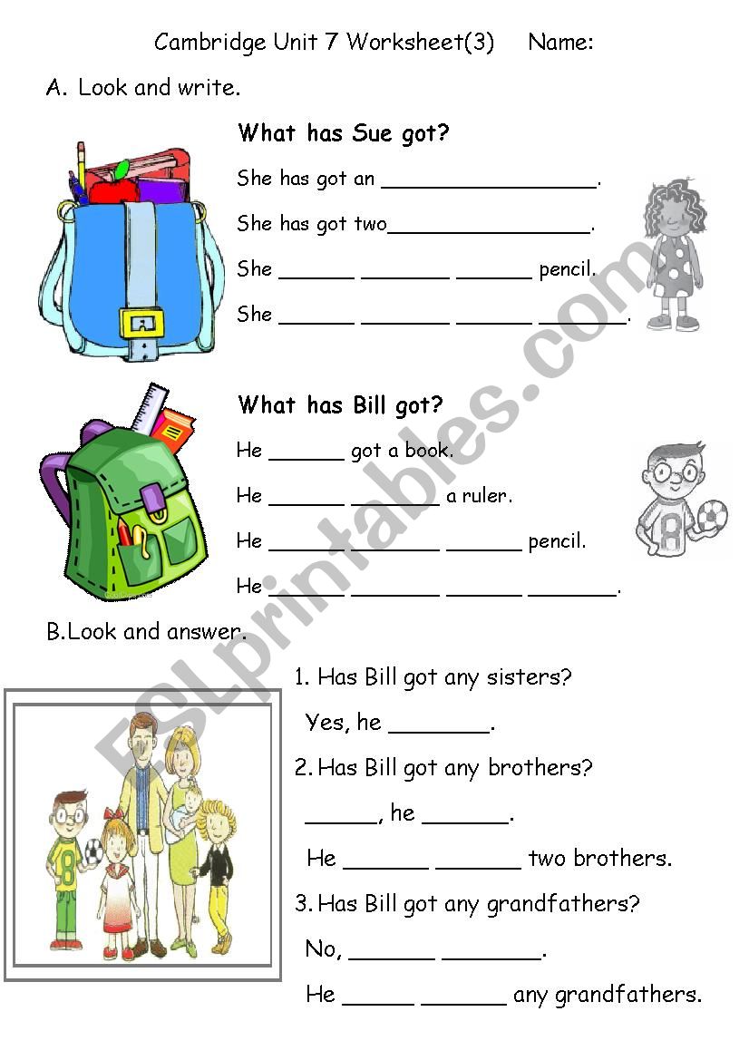 have / has got worksheet