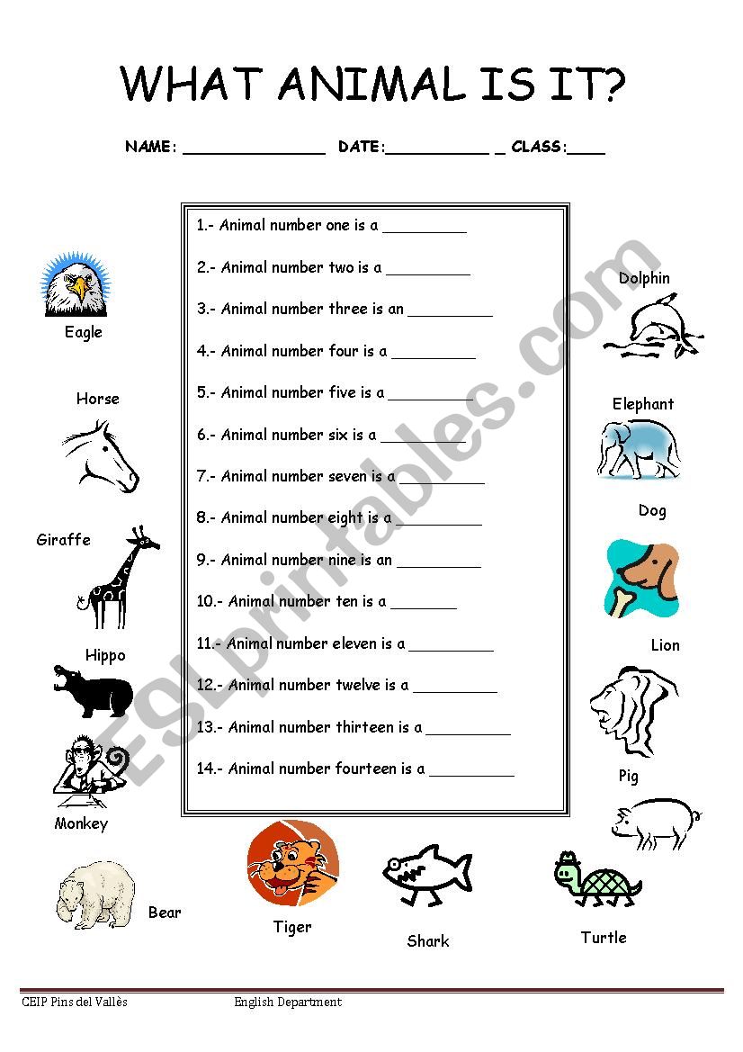 Animal-Answers worksheet
