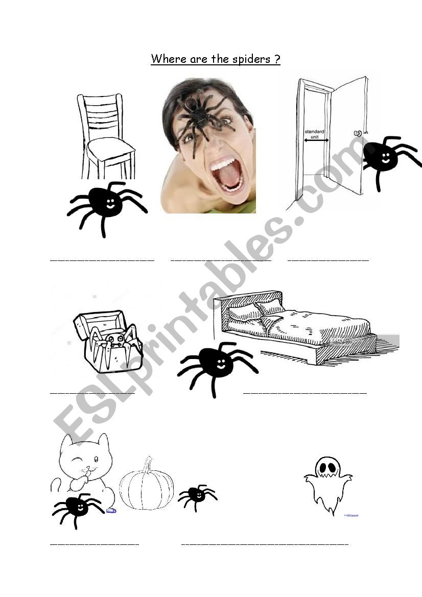 Where are the spiders? worksheet