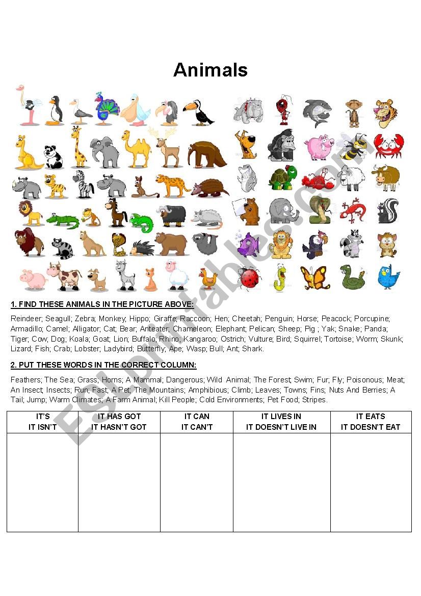 Animals (Basic Grammar and Vocab - Guessing Game)