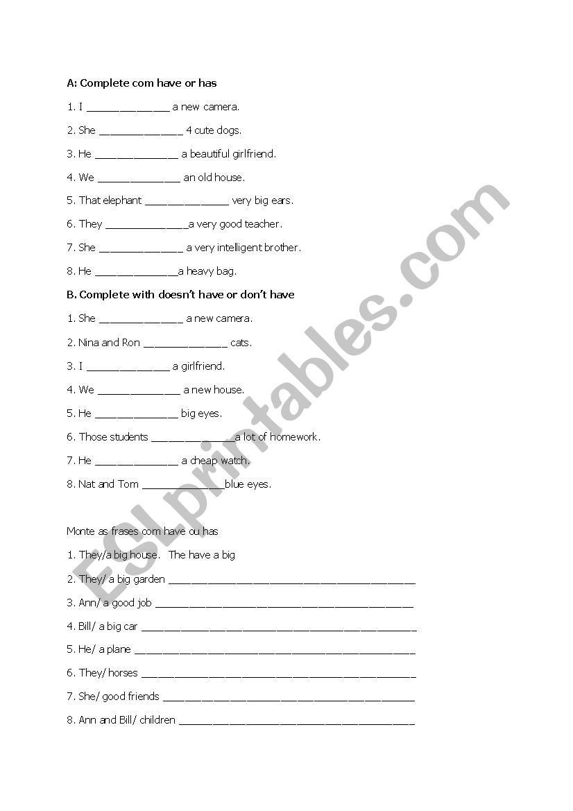 Has / Have Practice worksheet