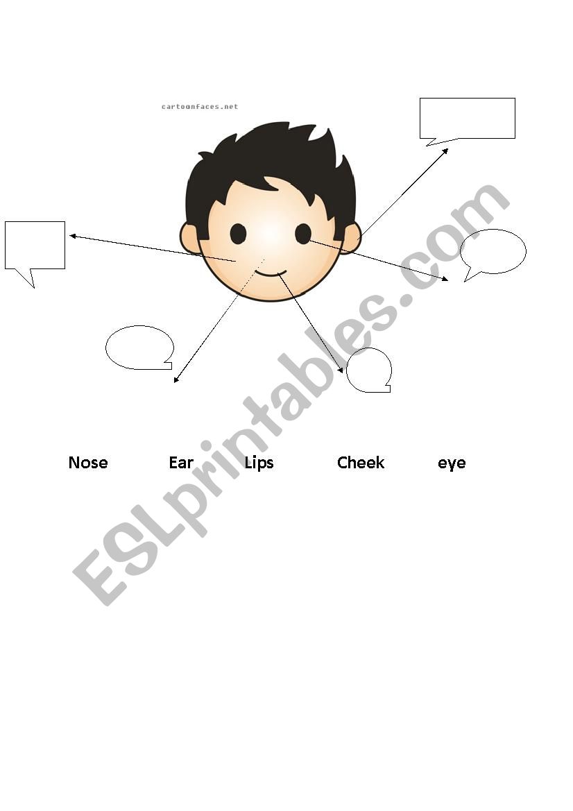 Parts of Face worksheet