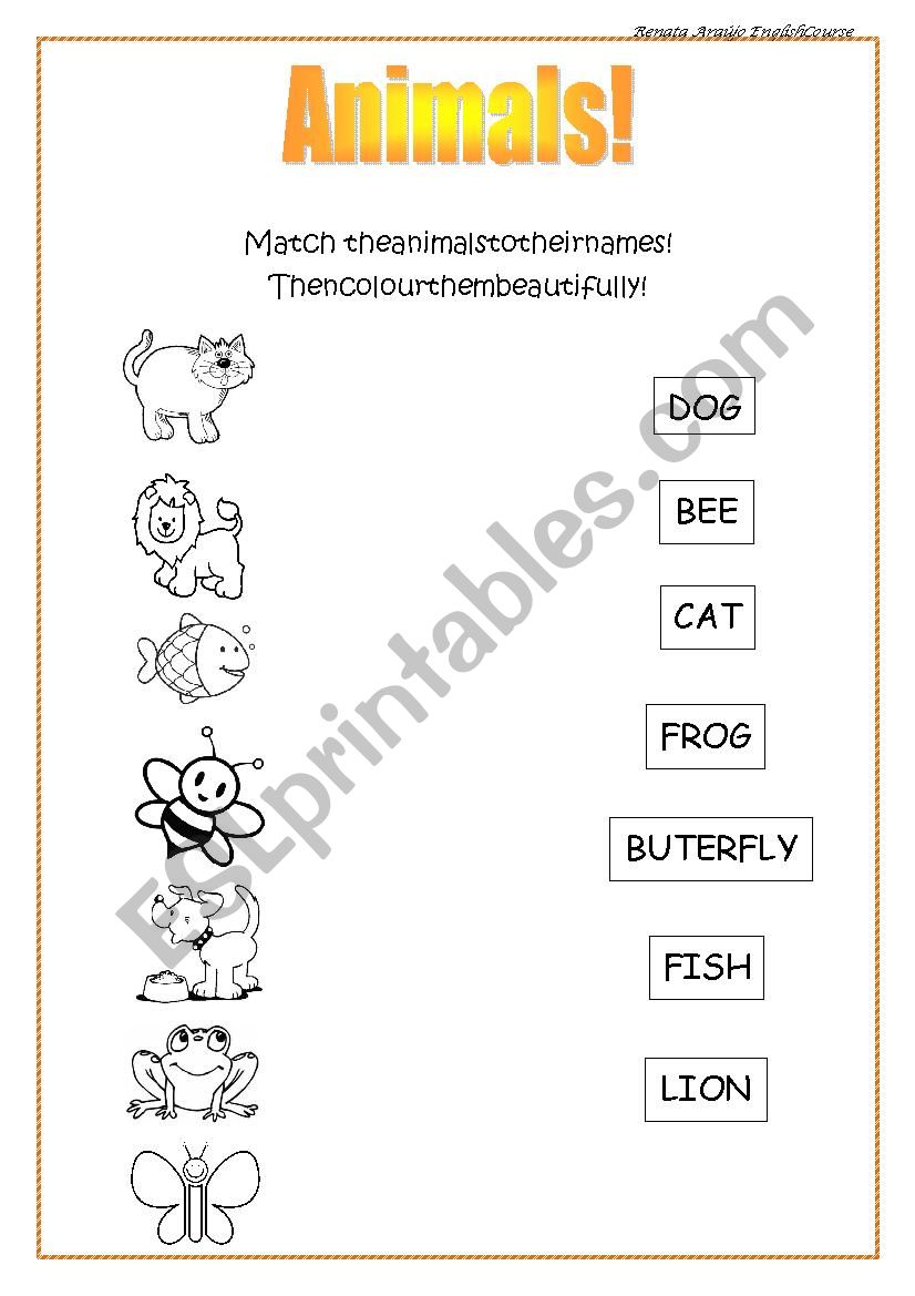 ANIMALS worksheet