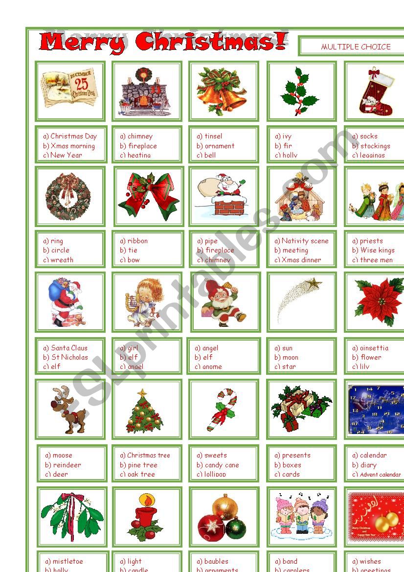 Merry Christmas! worksheet