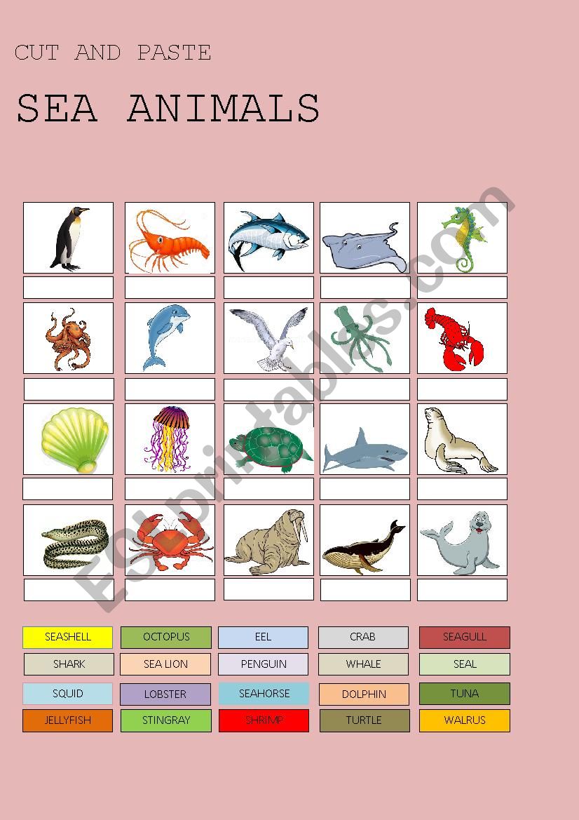 SEA ANIMALS worksheet