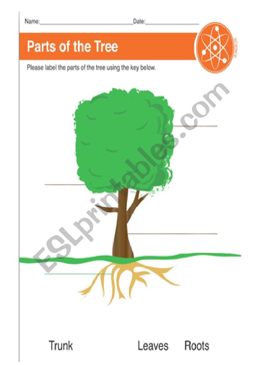 Parts of a tree worksheet