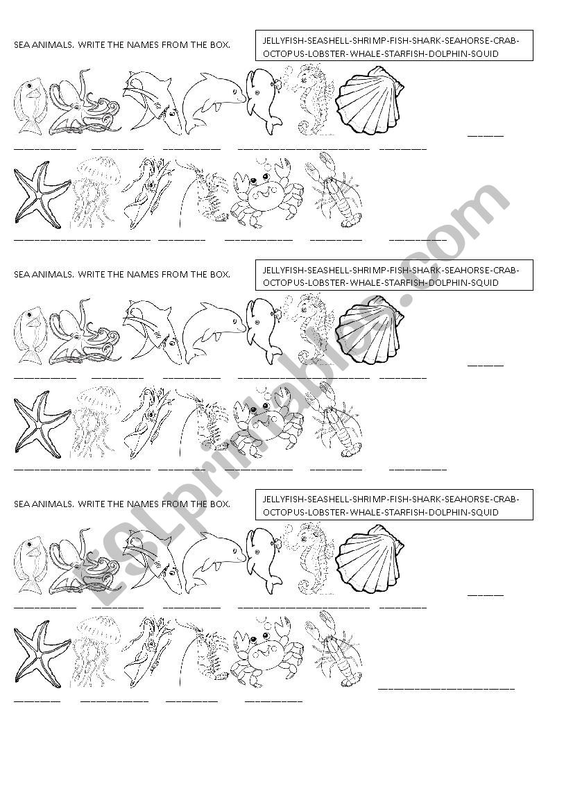 SEA ANIMALS worksheet