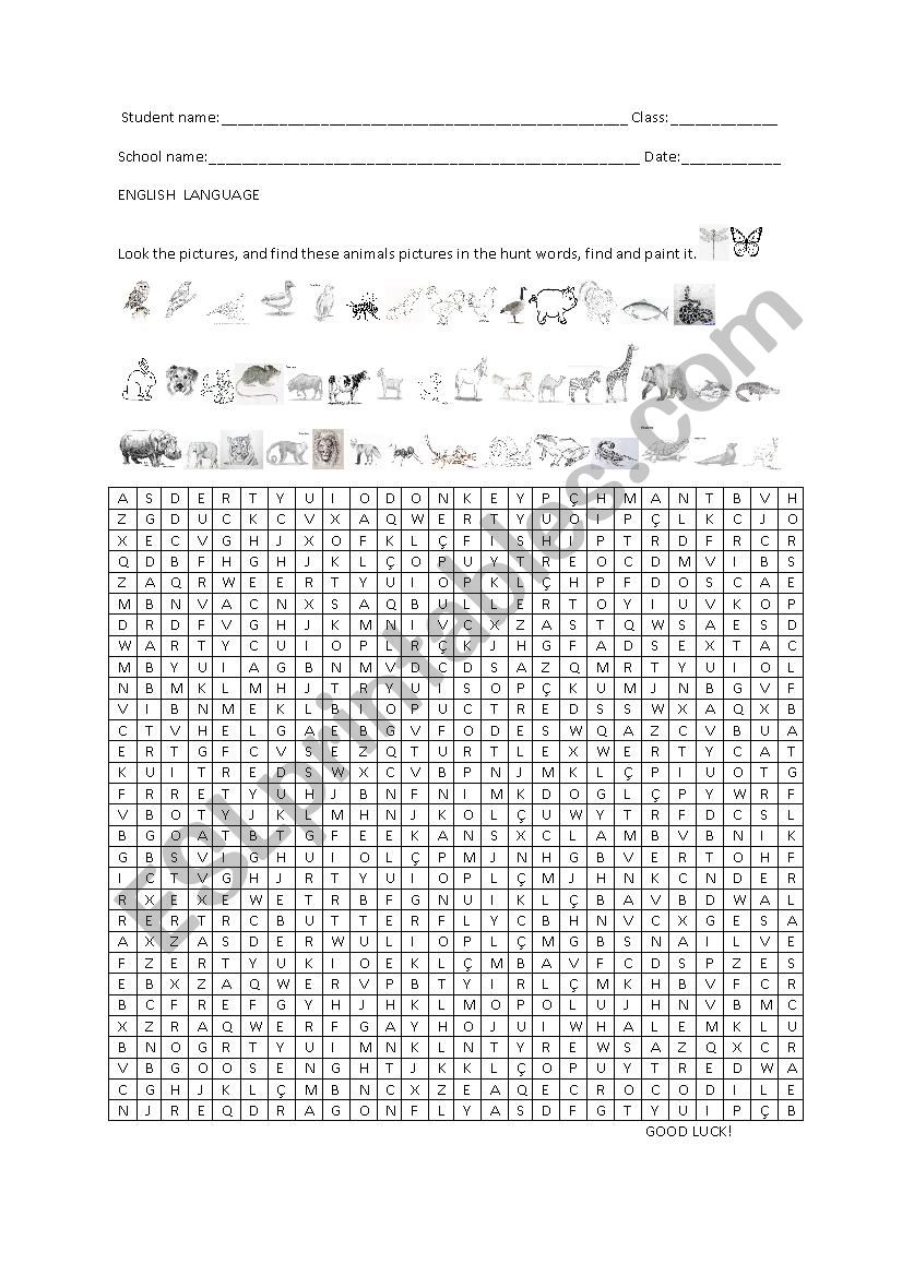 animals worksheets worksheet