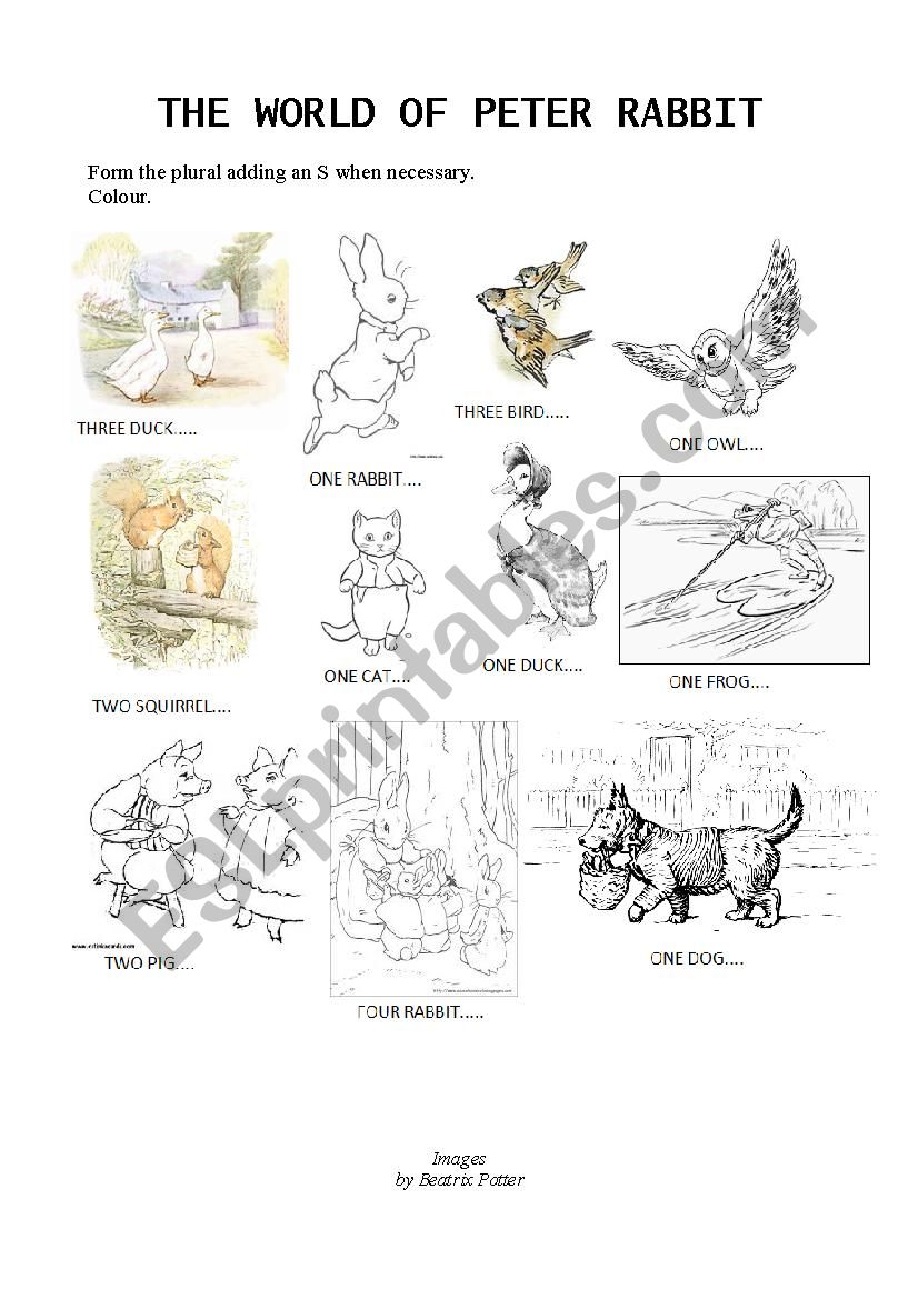 Plurals and animals with Peter Rabbit by Beatrix Potter
