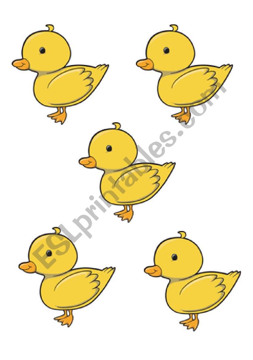  FIVE LITTLE DUCKS PART 2 - FLASHCARD OF THE FIVE LITTLE DUCKS + WORKSHEET TO COLOUR IN