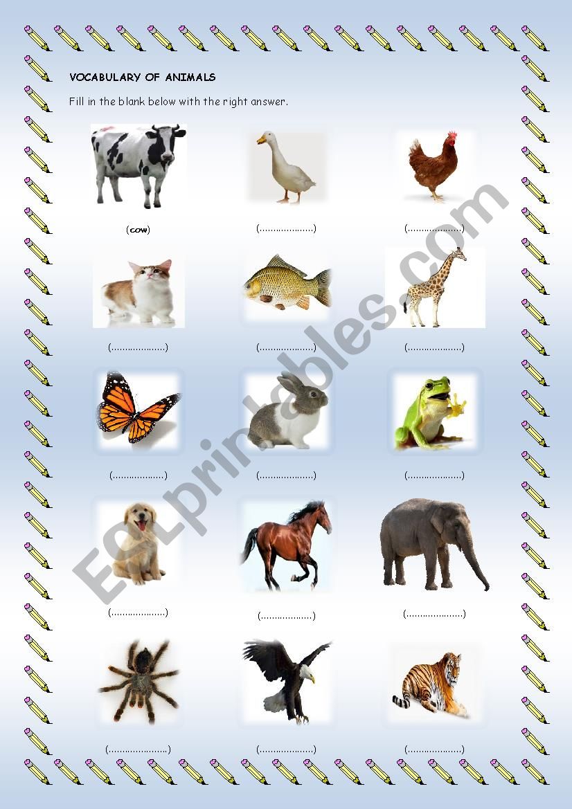 animals voabulary worksheet