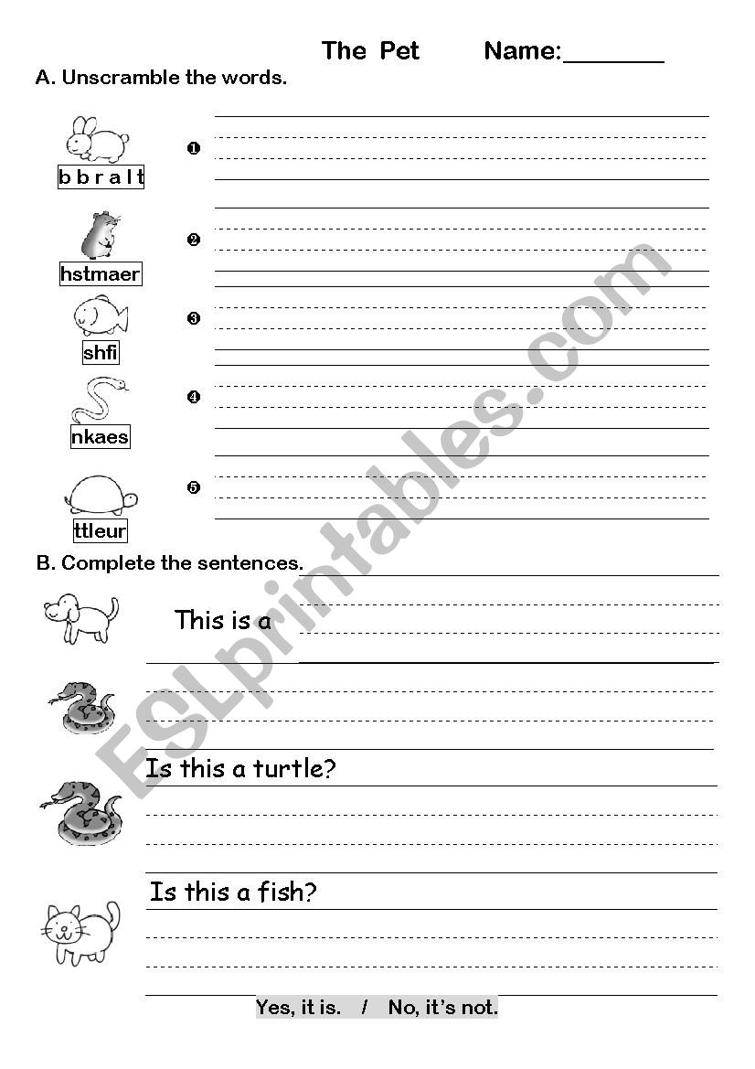 The pet worksheet