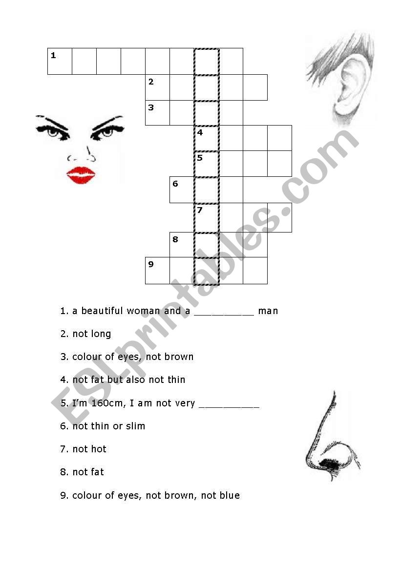 easy adjectives crossword worksheet