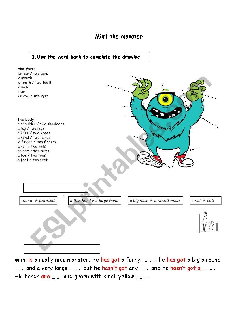 physical description worksheet