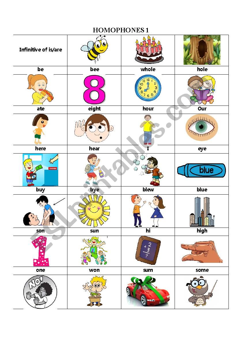 HOMOPHONES worksheet