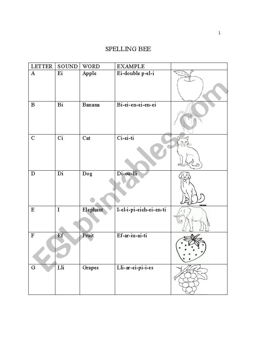 Spelling Bee worksheet