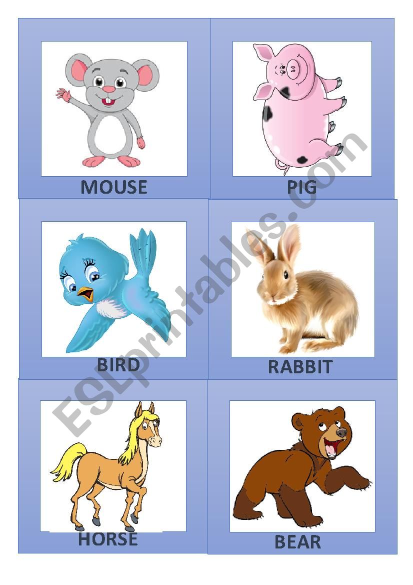 animals clipart 1/3 worksheet