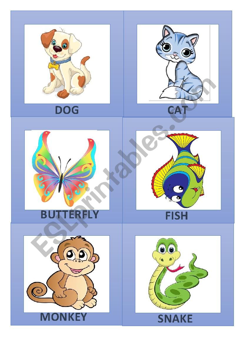 animals clipart 2/3 worksheet