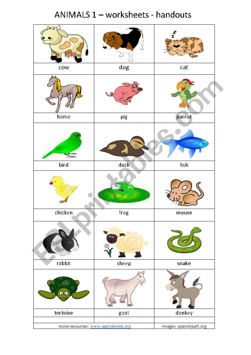 animals worksheet