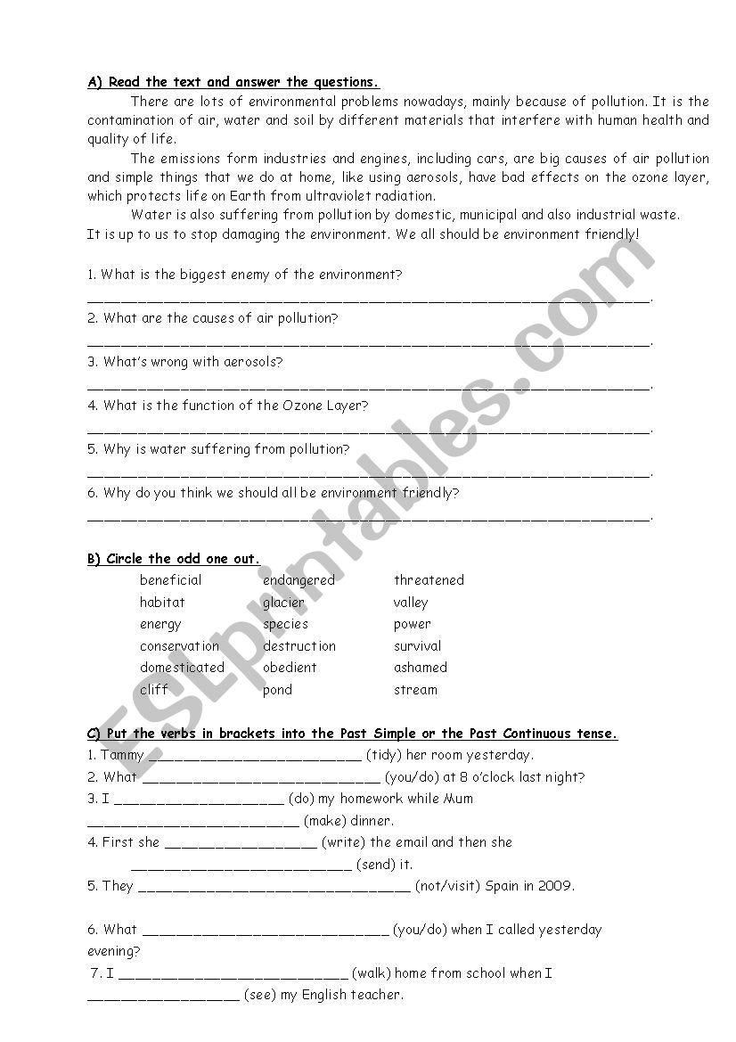 grammar worksheet