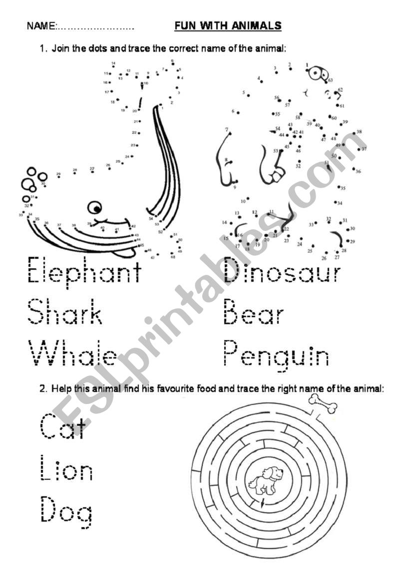 Fun with animals worksheet