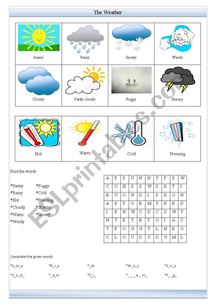 Weather Conditions worksheet worksheet