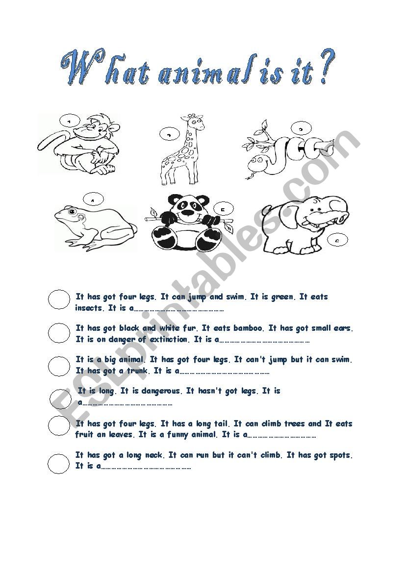 animal worksheet