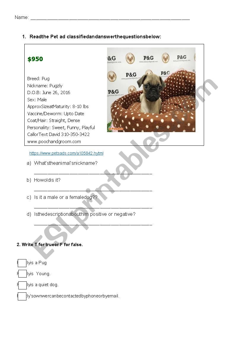 Pugzly is a Pet worksheet
