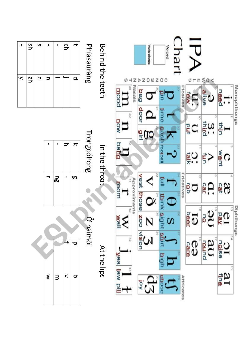 alphabet worksheet