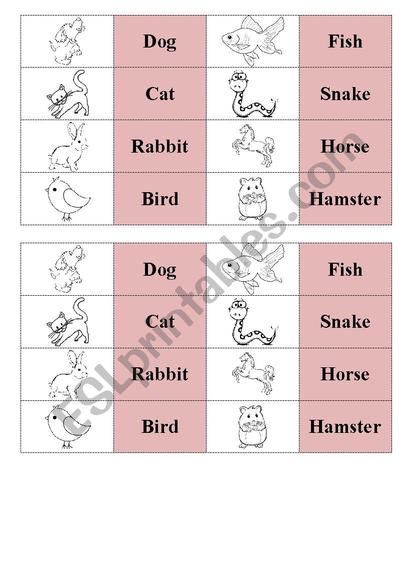 Animals  worksheet